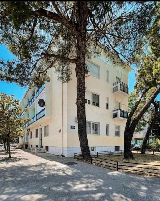 Apartment Music-Center, In The Center Of Podgorica Eksteriør bilde